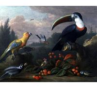 POSTERIIk Famous Modern Artwork Art Mural Toucan with Other Birds by Jakob Bogdani or Bogdany Oil Paintings Pictures for Home Decor 60x90cm