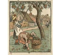 POSTERIIk Famous Print Pop Art Wall Art Graffiti Gathering Apples From Work Of The Fields Engraved by Camille Jacob Pissarro Art Prints for Home Decor 60x90cm
