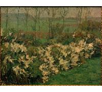 POSTERIIk Famous Print Pop Art Wall Art Graffiti Hawthorn Hedge by Otto Ubbelohde Art Prints for Home Decor 60x90cm