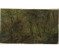 POSTERIIk Famous Print Pop Art Wall Art Graffiti in the Woods Jamaica by Frederic Edwin Church Art Prints for Home Decor 60x90cm