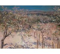 POSTERIIk Famous Print Pop Art Wall Art Graffiti Orchard with Flowering Trees Colombes by Gustave Caillebotte Art Prints for Home Decor 60x90cm