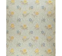 POSTERIIk Famous Print Pop Art Wall Art Graffiti Powdered Design by William Morris Art Prints for Home Decor 60x90cm