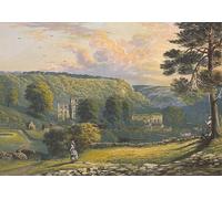 POSTERIIk Famous Print Pop Art Wall Art Graffiti Rievaulx Abbey by Alexander Lydon Art Prints for Home Decor 60x90cm