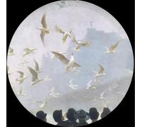 POSTERIIk Famous Print Pop Art Wall Art Graffiti Seagulls Over the Alster by Julius August Friedrich Theodor Von Ehren Art Prints for Home Decor 60x90cm