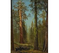 POSTERIIk Famous Print Pop Art Wall Art Graffiti The Grizzly Sequoia Mariposa Grove California by Albert Bierstadt Art Prints for Home Decor 60x90cm