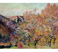 POSTERIIk Famous Print Pop Art Wall Art Graffiti the Valley of the Sedelle in Crozant by Jean Baptiste Armand Guillaumin Art Prints for Home Decor 60x90cm