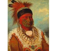 POSTERIIk Famous Print Pop Art Wall Art Graffiti the White Cloud Head Chief of the Iowas by George Catlin Art Prints for Home Decor 60x90cm