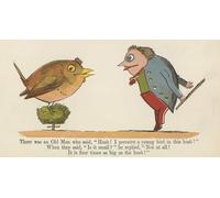 POSTERIIk Famous Print Pop Art Wall Art Graffiti There Was an Old Man Who Said Hush I Perceive a Young Bird in This Bush by Edward Leaars Art Prints for Home Decor 60x90cm