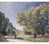 POSTERIIk Vintage Art Print Images Pictures Print a Clearing in a Forest by Alfred Sisle Modern Colour Posters for Office Home Decor 60x90cm