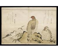 POSTERIIk Vintage Art Print Images Pictures Print a Young Man At the Side of a House by Kitagawa Utamaro Modern Colour Posters for Office Home Decor 60x90cm