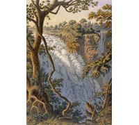 POSTERIIk Vintage Art Print Images Pictures Print Falls the Leaping Water by Baines Modern Colour Posters for Office Home Decor 60x90cm
