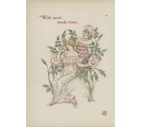 POSTERIIk Vintage Art Print Images Pictures Print Flowers From Shakespeares Garden by Walter Crane Modern Colour Posters for Office Home Decor 60x90cm