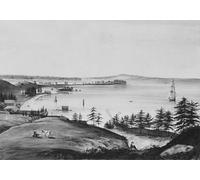 POSTERIIk Vintage Art Print Images Pictures Print The Bay of New York Looking to the Narrows and Staten Island Taken from Brooklyn Heights William Guy Wall for Office Home Decor 60x90cm