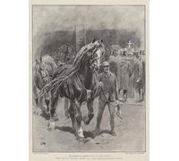 POSTERIIk Vintage Art Print Images Pictures Print the Shire Horse Show At the Agricultural Hall by John Charlton Modern Colour Posters for Office Home Decor 60x90cm