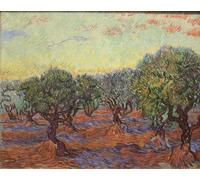 POSTERIIk Vintage Classic Picture Landscape Artwork Olive Grove by Vincent Van Gogh Portrait Canvas Painting for Office Home Decor 60x90cm