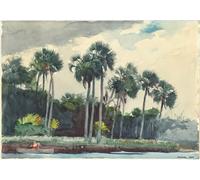 POSTERIIk Vintage Classic Picture Landscape Artwork Red Shirt Homosassa Florida by Winslow Homer Portrait Canvas Painting for Office Home Decor 60x90cm
