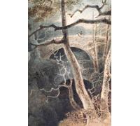 POSTERIIk Vintage Classic Picture Landscape Artwork the Devil's Bridge North Wales by John Sell Cotman Portrait Canvas Painting for Office Home Decor 60x90cm