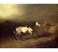 POSTERIIk Vintage Classic Picture Landscape Artwork the Grey Arab by Sawrey Gilpin Portrait Canvas Painting for Office Home Decor 60x90cm