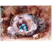 POSTERIIk Vintage Print Pop Art Landscape Artwork Bird's Nest by William Henry Hunt Art Prints for Office Home Decor 60x90cm