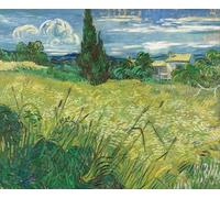 POSTERIIk Vintage Print Pop Art Landscape Artwork Green Field by Vincent Van Gogh Art Prints for Office Home Decor 60x90cm
