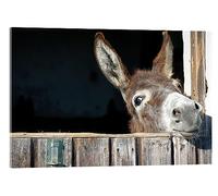 Posterlounge Cute & curious little donkey Acrylic print 30 x 20 cm Wall art Wall decor