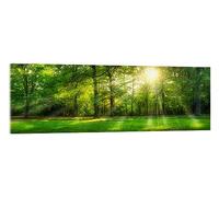 Posterlounge Forest panorama in summer Acrylic print by Jan Christopher Becke 60 x 20 cm Green Wall art Wall decor