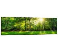 Posterlounge Forest panorama in summer Canvas print by Jan Christopher Becke 60 x 20 cm Green Wall art Wall decor