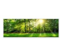 Posterlounge Forest panorama in summer Poster by Jan Christopher Becke 90 x 30 cm Green Wall art Wall decor