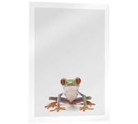 Posterlounge Red-eyed Tree Frog Acrylic print by Animal Kids Collection 13 x 18 cm Grey Wall art Wall decor