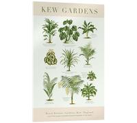 Posterlounge Royal Botanic Gardens, Kew Acrylic print 14 x 21 cm Green Wall art Wall decor