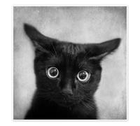 Posterlounge What?! Poster by DejaReve 70 x 70 cm Black Wall art Wall decor