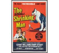 posters Incredible Shrinking Man Movie 02 28 cm x43cm 11inx17in