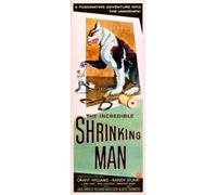 posters Incredible Shrinking Man The 14x36 Insert Movie