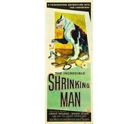 posters Incredible Shrinking Man The Movie Insert 14x36