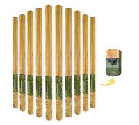Postsaver Rot Protected Wood Fence Post 3x3" | Pressure-Treated Timber Post for Gardening | Decay-Protected with Postsaver Dual-Layer Rot Protector | 20-Year Guarantee | Pack of 10 | 8 Ft. Long