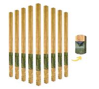 Postsaver Rot Protected Wood Fence Post 3x3" | Pressure-Treated Timber Post for Gardening | Decay-Protected with Postsaver Dual-Layer Rot Protector | 20-Year Guarantee | Pack of 9 | 8 Ft. Long