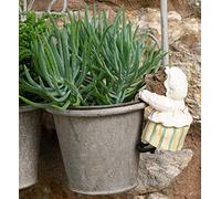 Pot Buddies Beatrix Potter Mrs. Tiggy-Winkle Figure Plant Pot Hanger - Handmade Garden Ornament - Decorative Flower Planter Figurine