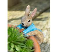 Pot Buddies Beatrix Potter Peter Rabbit Climbing Figure Plant Pot Hanger - Handmade Garden Ornament - Decorative Flower Planter Figurine for outdoor or indoor use.
