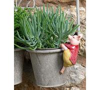 Pot Buddies Beatrix Potter Pigling Bland Figure Plant Pot Hanger - Handmade Garden Ornament - Decorative Flower Planter Figurine