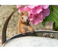 Pot Buddies Beatrix Potter Squirrel Nutkin Figure Plant Pot Hanger - Handmade Garden Ornament - Decorative Flower Planter Figurine