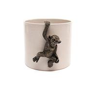 Pot Buddies Handmade Chimpanzee Figure Plant Pot Hanger - Decorative Hanging Garden Ornament - Flower Planter Figurine
