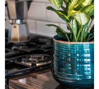 Ivyline Pot Como Turquoise - H21Cm D26Cm