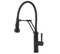 Pot Filler Faucet Wall Mounted, Kitchen Faucet Pull Down 4 Function Sprayer 360 Swivel Stainless Steel Single Handle Black(Nero)
