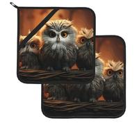 Pot Holder Set of 2 Heat Resistant Potholders Kitchen Trivets with Hanging Loops cute Owl Baby Pot Holders Washable Oven Hot Pads for Cooking Baking Oven BBQ