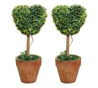 Potadak 2X Plastic Garden Grass Ball Topiary Tree Pot Dried for Wedding (Heart-Shaped)