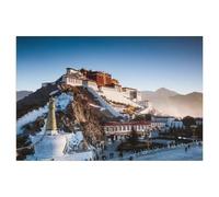 Potala Palace - Lhasa - Tibet，Jigsaw Puzzles Puzzles for Adults Kids. 1000 Piece Impossible Challenge Toy Educational Game Home Decoration for Adults& Kids Age 14 Years Up 1000pcs（38x26cm）-AI37