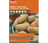 Potato Charlotte Seed potatoes