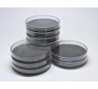 Potato Dextrose Agar Plates 10 psc - Prepoured PDA Petri Dishes with Activated Charcoal - Great for Mushrooms & Science Fair Projects