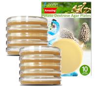 Potato Dextrose Agar Plates - Evviva Sciences - Prepoured Potato Dextrose Agar PDA Petri Dishes - Excellent Growth Medium - Great for Mushrooms & Science Fair Projects