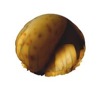 Potato Double Layered Women'S Long Hair Waterproof Shower Cap Reusable